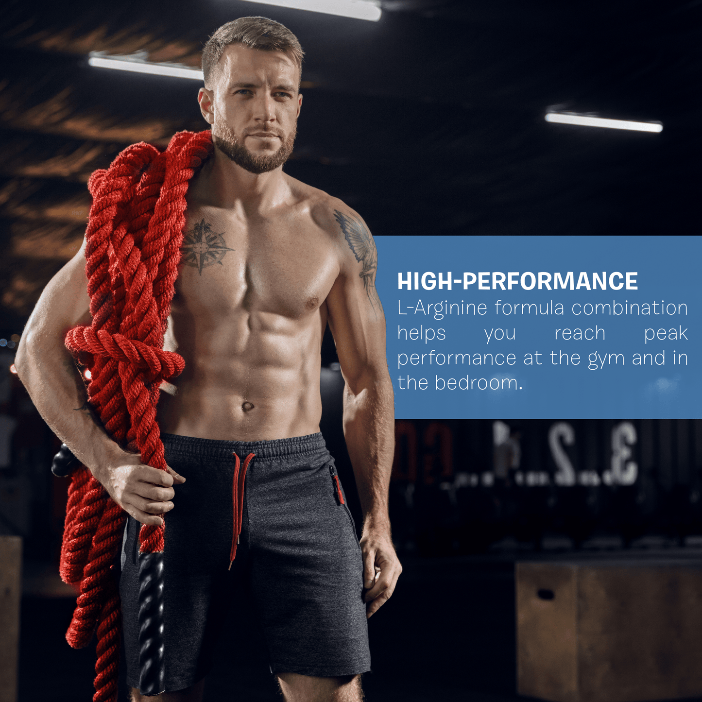 DBal 1200 Muscle Builder - Muscle & Testosterone  Performance Supplement for Muscle Growth and Strength