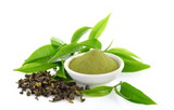 Green Tea Extract