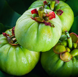 Garcinia Cambogia